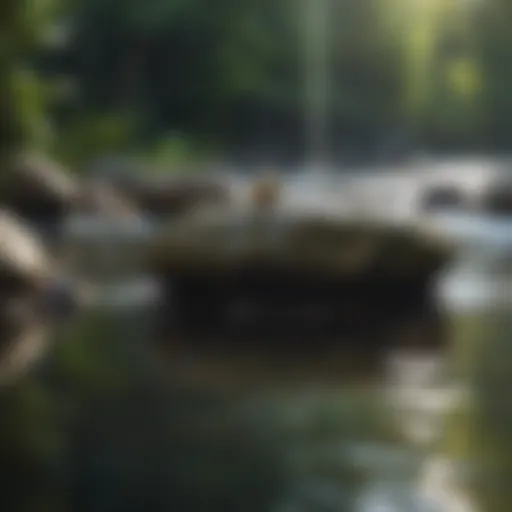 Tranquil soundscape with flowing water and gentle wind chimes