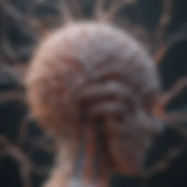 An illustration depicting the brain's neural pathways.