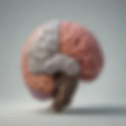 A brain illustration depicting the complexity of thoughts and emotions related to self-doubt