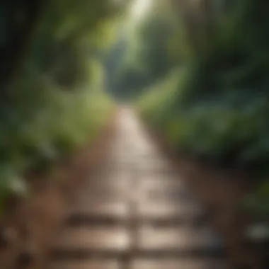Pathway to Healthy Decisions An open path suggesting choices in relationships