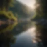 A serene landscape symbolizing inner peace