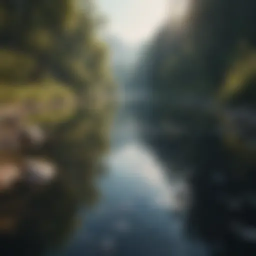 A serene landscape symbolizing tranquility and reflection.