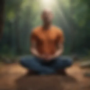 Challenges and Solutions in ADHD Meditation Visualization of challenges and solutions for ADHD meditation