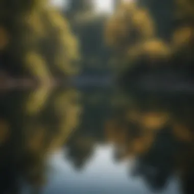 Tranquil Lake Reflection A serene landscape with a tranquil lake reflecting a clear sky